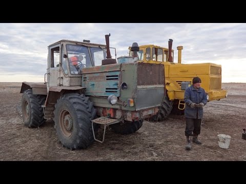 Видео: Вспашка зяби. К700А и ХТЗ Т150К