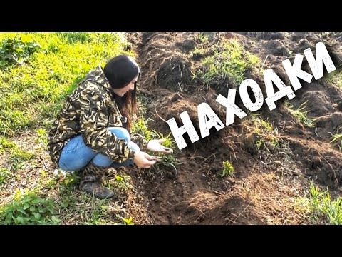 Видео: Надо же, находки лезут из земли после вспашки. Обнаружила предметы быта у себя на участке в деревне.