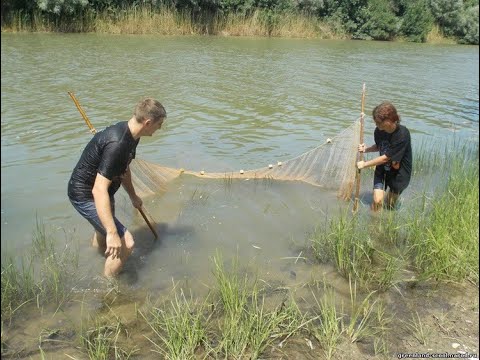 Видео: Почему перестал работать метод широкого бредня.