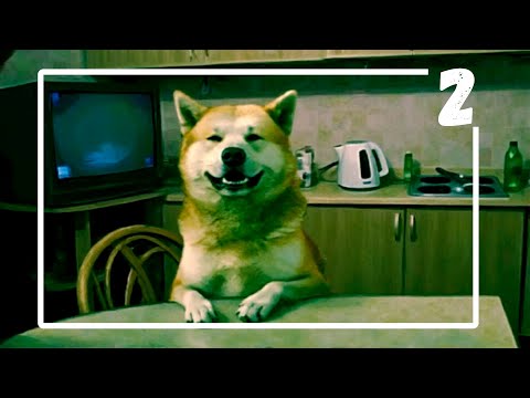 Видео: 📱 No, I’m not a Human – Продолжаем прохождение | Тайны мрачного мира