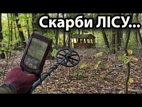 Видео: Знайшла свій скарб.Дружина задоволена.Коп з minelab equinox 800