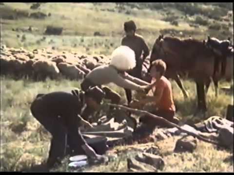 Видео: m.kala Художественный фильм Тайна синих гор г. 1981