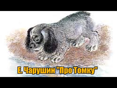 Видео: Е. Чарушин "Про Томку"