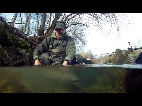 Видео: Hucho. Дунайский таймень. Охота в пяти настроениях.