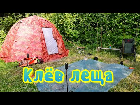 Видео: Клёв леща на резинки