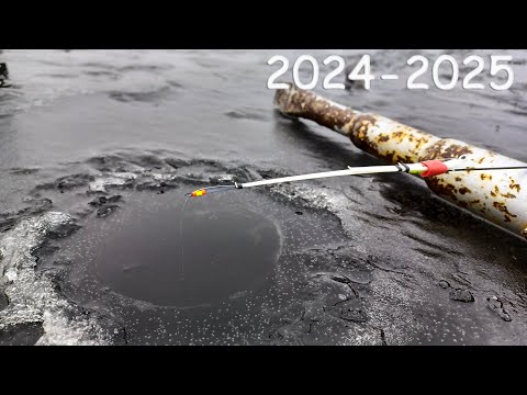 Видео: НАШЕЛ ТРОПУ рыбы, ТОЛЬКО ОПУСКАЙ, СРАЗУ кивок ЗАГНЁТ! Зимняя рыбалка со льда 2024-25