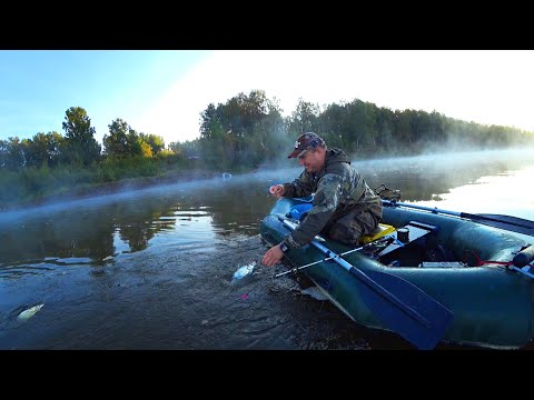 Видео: Рыба на 30 000 руб! Рыбалка на Снасть Кольцо на Зорьке!