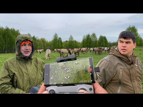 Видео: Приглашаем всех на соревнование/ Проверили жеребцов/ Удивили новые колеса на квадроцикле Атлет