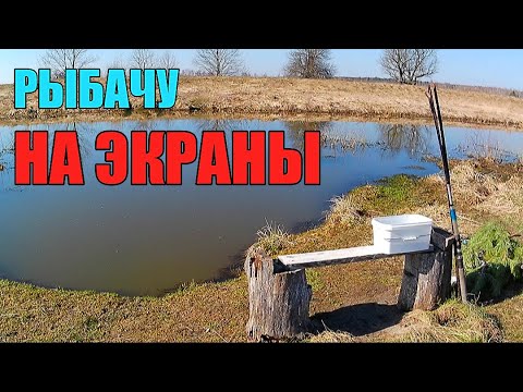 Видео: Объехал 4 места, но РЫБЫ НАЛОВИЛ!!! Рыбалка на экраны-телевизоры.