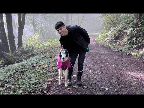 Видео: плохой видеоблог: найденные кадры