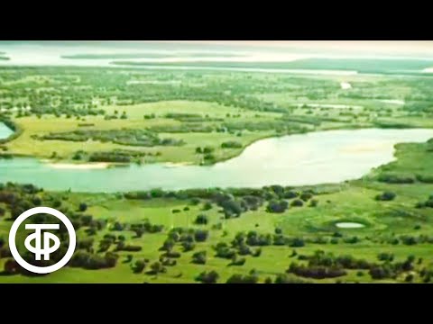 Видео: Открытие Сибири. По следам великих открытий. Фильм 1 (1979)