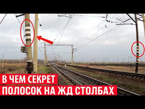 Видео: Зачем на столбах вдоль железной дороги наносят белые полоски? Секрет раскрыт!