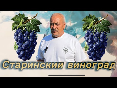 Видео: #24/18 часть 2/2 Беларусь. В гостях на винограднике Петра Кишени. Минская обл. д. Старино