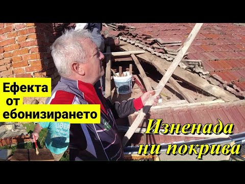 Видео: ЖИВОТ НА СЕЛО : Какъв е ефекта от ебонизирането ? + Покрива ни изненада / LINE D5