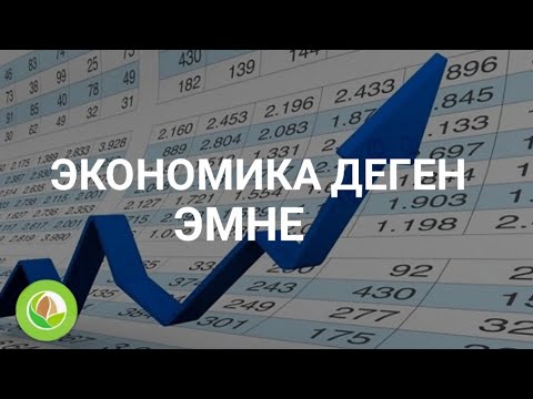 Видео: Кыялбек Акмолдоев - 01 - экономика деген эмне
