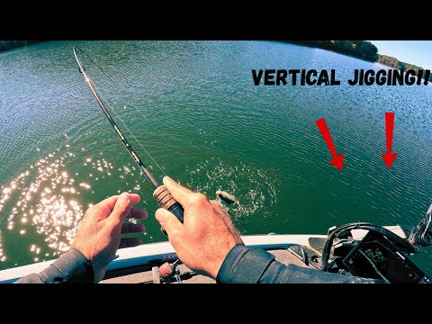 Видео: Вертикальный джиггинг для ловли краппи осенью!