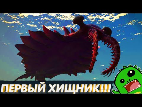 Видео: "АНОМАЛЬНАЯ КРЕВЕТКА" — ПЕРВЫЙ ХИЩНИК ПЛАНЕТЫ! | Аномалокарис | [Эволюция артропод]