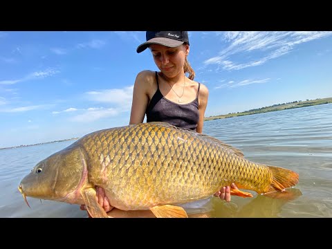 Видео: ЛОВЛЯ ТРОФЕЙНОГО КОРОПА | АМУР зі шрамом. Рибалка на ПРИЛБИЧАХ. + КОНКУРС