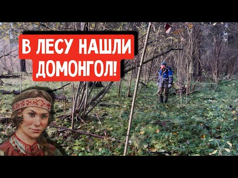Видео: В ЛЕСУ НАШЛИ ДОМОНГОЛ!