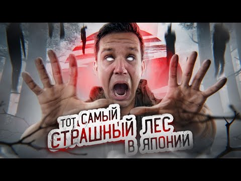 Видео: ТОТ САМЫЙ СТРАШНЫЙ ЛЕС В ЯПОНИИ! ПРОВЕЛ ТАМ НОЧЬ | GhostBuster