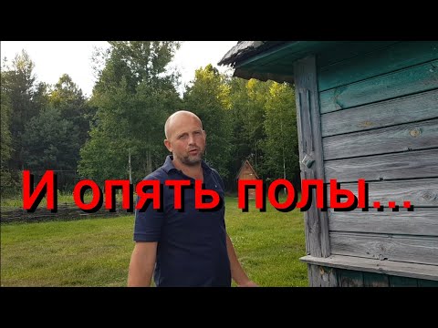 Видео: Купили и привезли на хутор венец к дому . Реставрация хутора продолжается . Где ночуют наши  собаки?