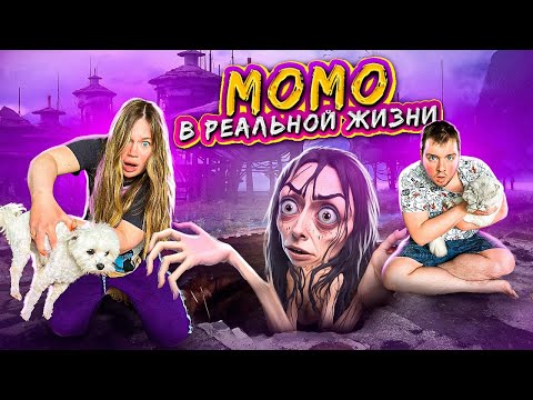 Видео: МОМО В РЕАЛЬНОЙ ЖИЗНИ | НОЧЬ В ПАЛАТКЕ С КОТАМИ И СОБАКОЙ | ОНА ВЕРНУЛАСЬ К НАМ