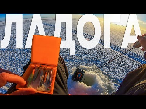 Видео: РЫБАЛКА 2023. ЗИМНЯЯ БЛЕСНА НА ЛАДОГЕ. ЗИМНЯЯ РЫБАЛКА НА ОКУНЯ.