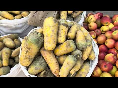 Видео: 02.11.25 Карасуу базары /Рубль/Гул/Шыйрак ж.б базар баалары