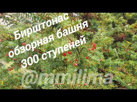 Видео: БИРШТОНАС . БАШЯ #литва #бирштонас #башня #фонтан 