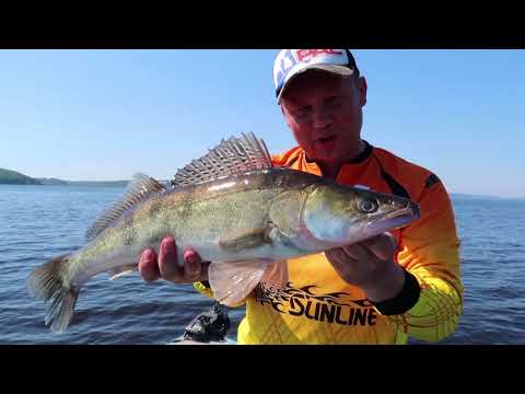 Видео: Как мы выиграли Pro Anglers League. Секретная приманка. Тактика тренировок