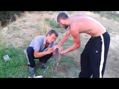 Видео: Рыбалка на Ворошиловском озере 2. Завершение