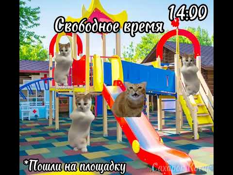 Видео: Пов: Мой обычный день в лучшем лагере 🐬