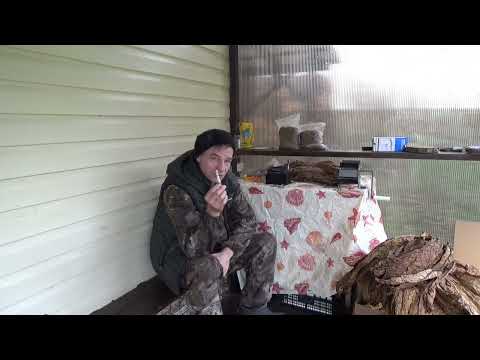 Видео: Вирджиния Гольта