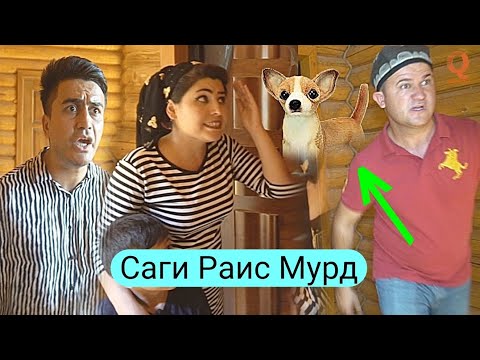 Видео: Мугамбо ва Кучкар - Саги Раис Мурд Приколи нав 2019