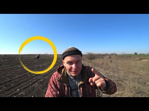 Видео: Нашел Скифскую Бабу? Такой коп бывает Раз в Жизни.
