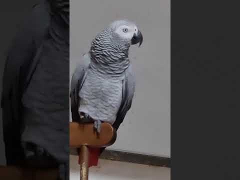 Видео: Что хочешь? Поработать