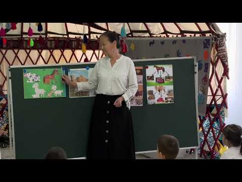 Видео: 1 ноября 2025 г.