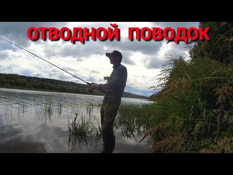 Видео: ЛОВЛЮ на ОТВОДНОЙ ПОВОДОК. РЫБАЛКА на ОКЕ в июле.