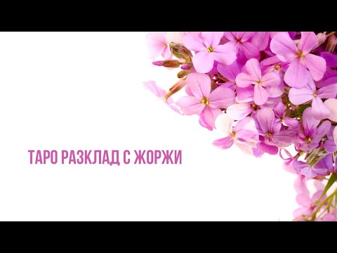 Видео: 🔮Ще ме потърсиш ли отново...?🔮