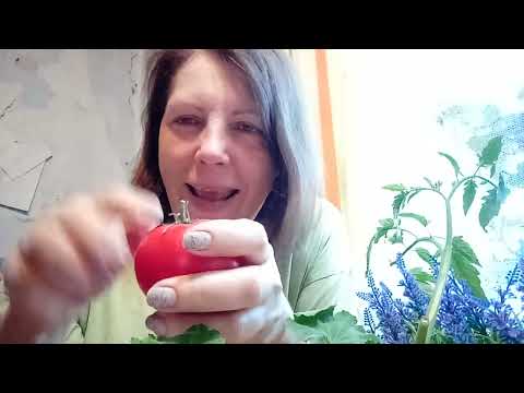 Видео: Воскресенье/болталка