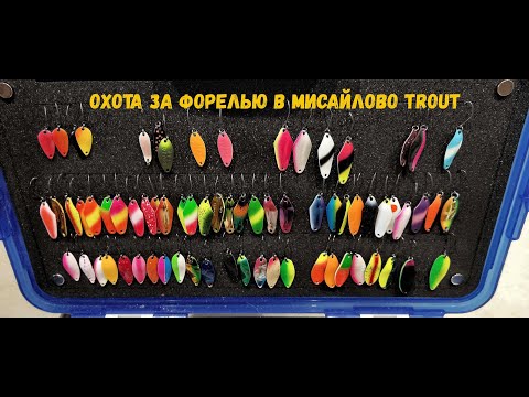 Видео: Охота за форелью в Мисайлово TROUT