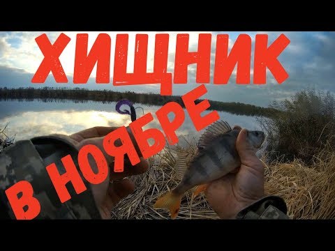 Видео: Ловля хищника в ноябре. Днестр, Маяки.