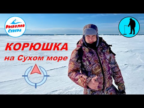 Видео: ✅КОРЮШКА НА БЕЛОМ МОРЕ🎣.ОТДЫХ НА ТУРБАЗЕ "ЖЕЛЕЗНЫЕ ВОРОТА"  Апрель 2022  о. Мудьюг  #Рыболов_Севера