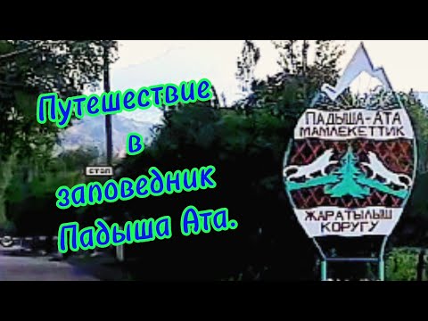 Видео: Путешествие в заповедник Падыша Ата.