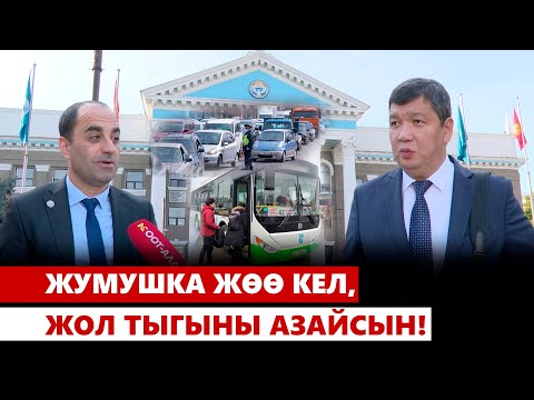 Видео: Жумушка жөө кел, жол тыгыны азайсын!