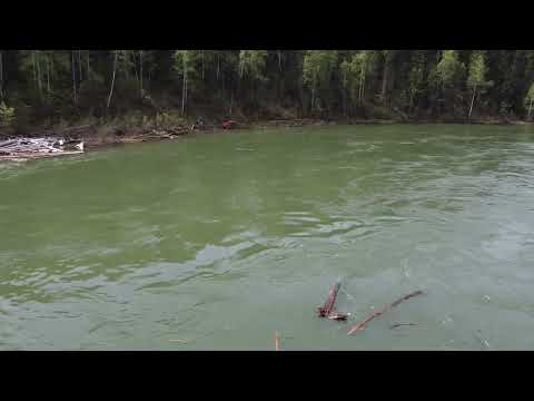 Видео: р.Кизир 25.05.2024