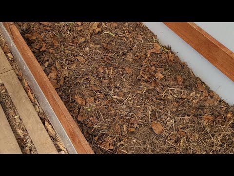 Видео: Подготавливаю мои органические грядки для высадки рассады.