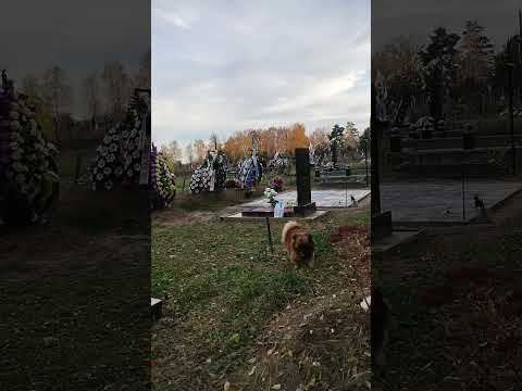 Видео: КЛАДБИЩЕ ПРАВИЛА ПОМИНА УШЕДШИХ