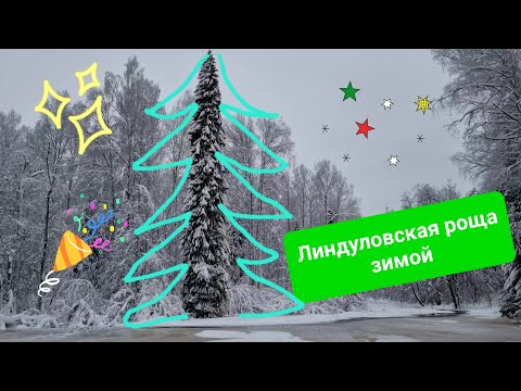 Видео: Заказник Линдуловская роща спб зимой | Поселок Рощино