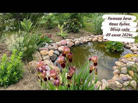 Видео: Уютная дача: Наши будни. Обзор сада 09 июня 2024г.